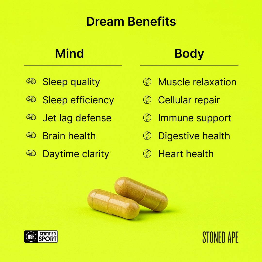 Recovery Bundle (Dream + ZenX) - RaeJais