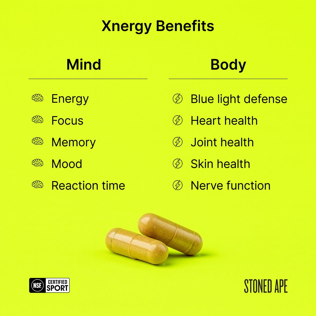 Xnergy: A.M. Nootropic for Calm Energy, Focus & Motivation - RaeJais
