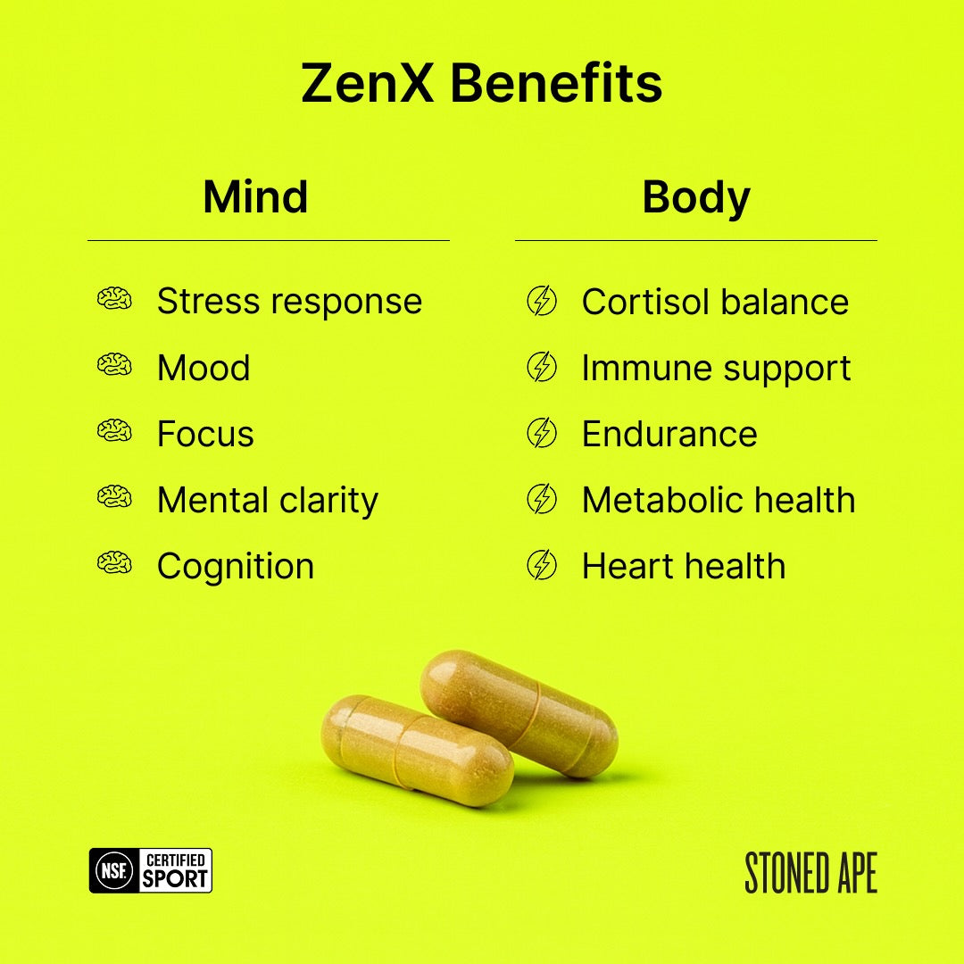 Recovery Bundle (Dream + ZenX) - RaeJais