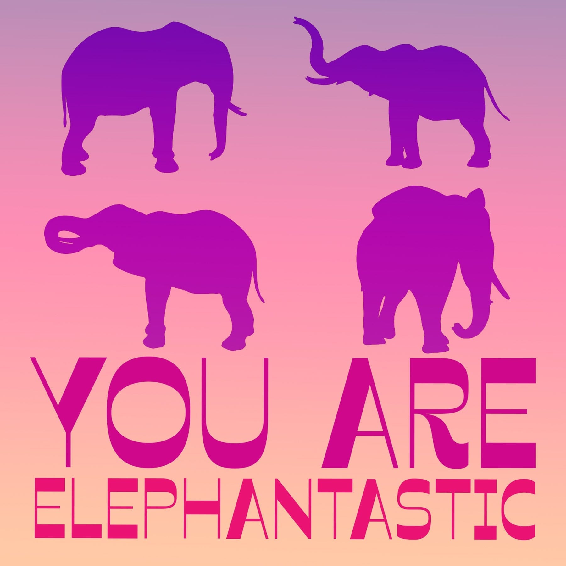 Elephant Lover Gift Box Set