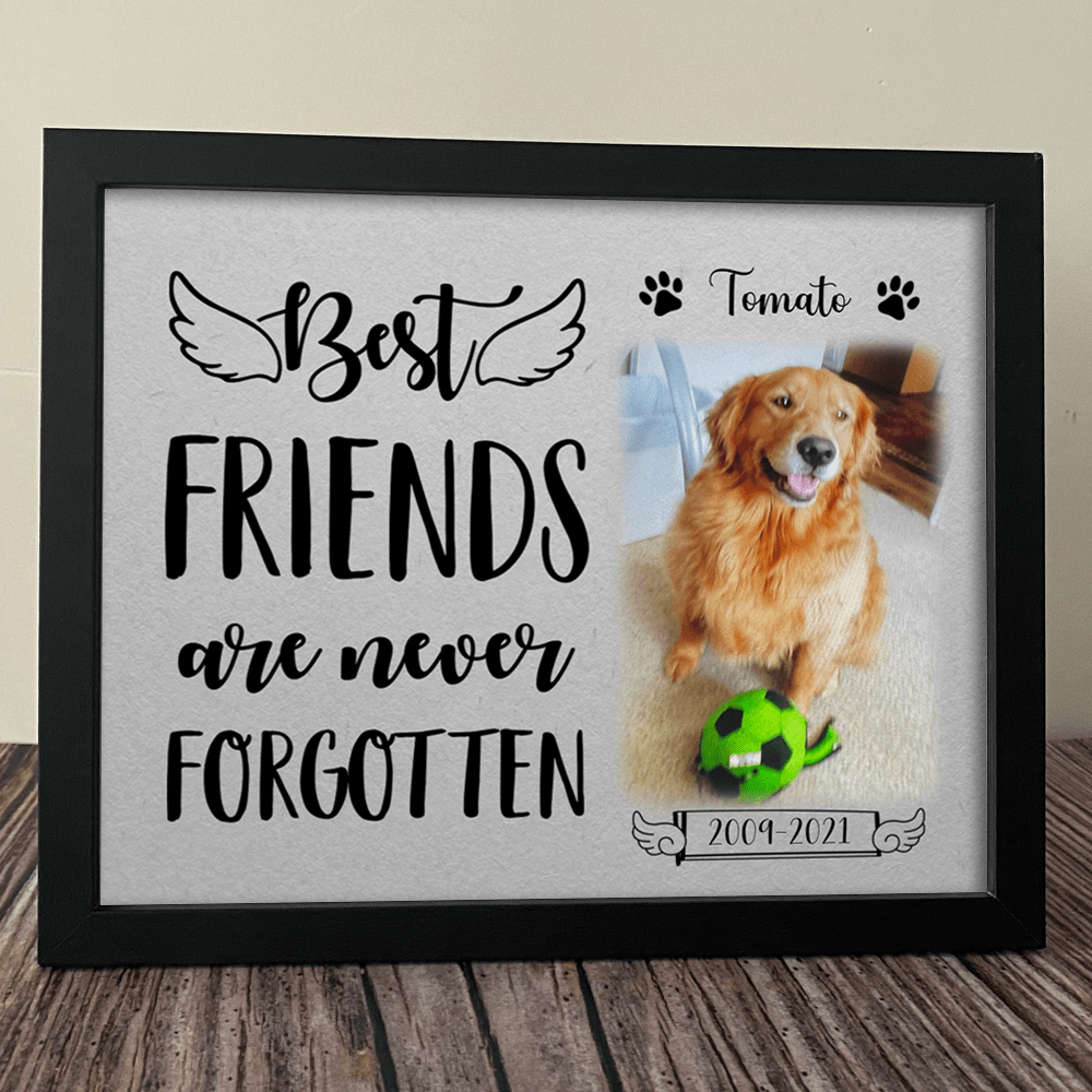 Best Friends Are Never Forgotten Dog Picture Frame