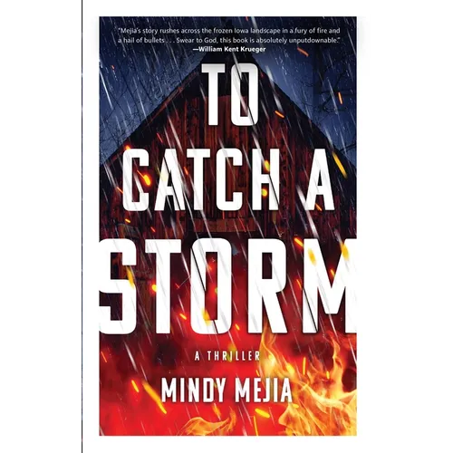 To Catch a Storm - Paperback