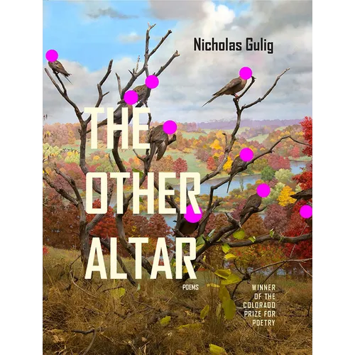 The Other Altar - Paperback
