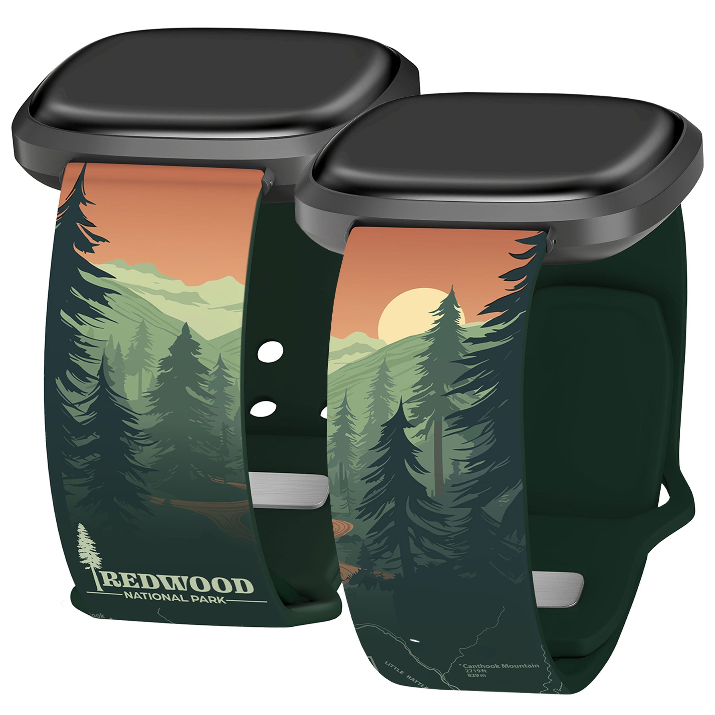 National Parks Redwood HD Fitbit Versa 3 &amp;amp; Sense 1 Watch Band