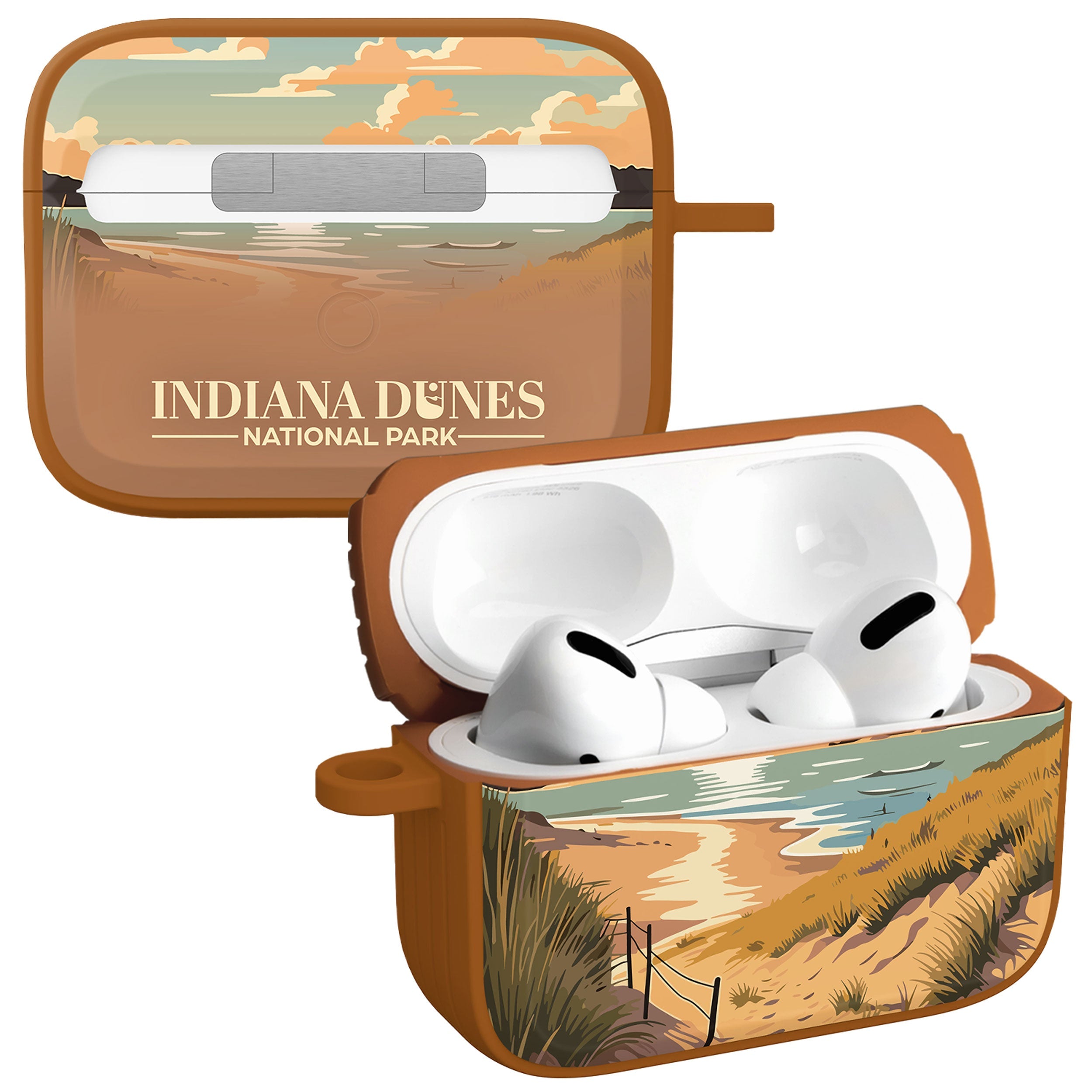 National Parks Indiana Dunes HDX Apple Airpods Pro 1 &amp;amp; 2 Case Cover
