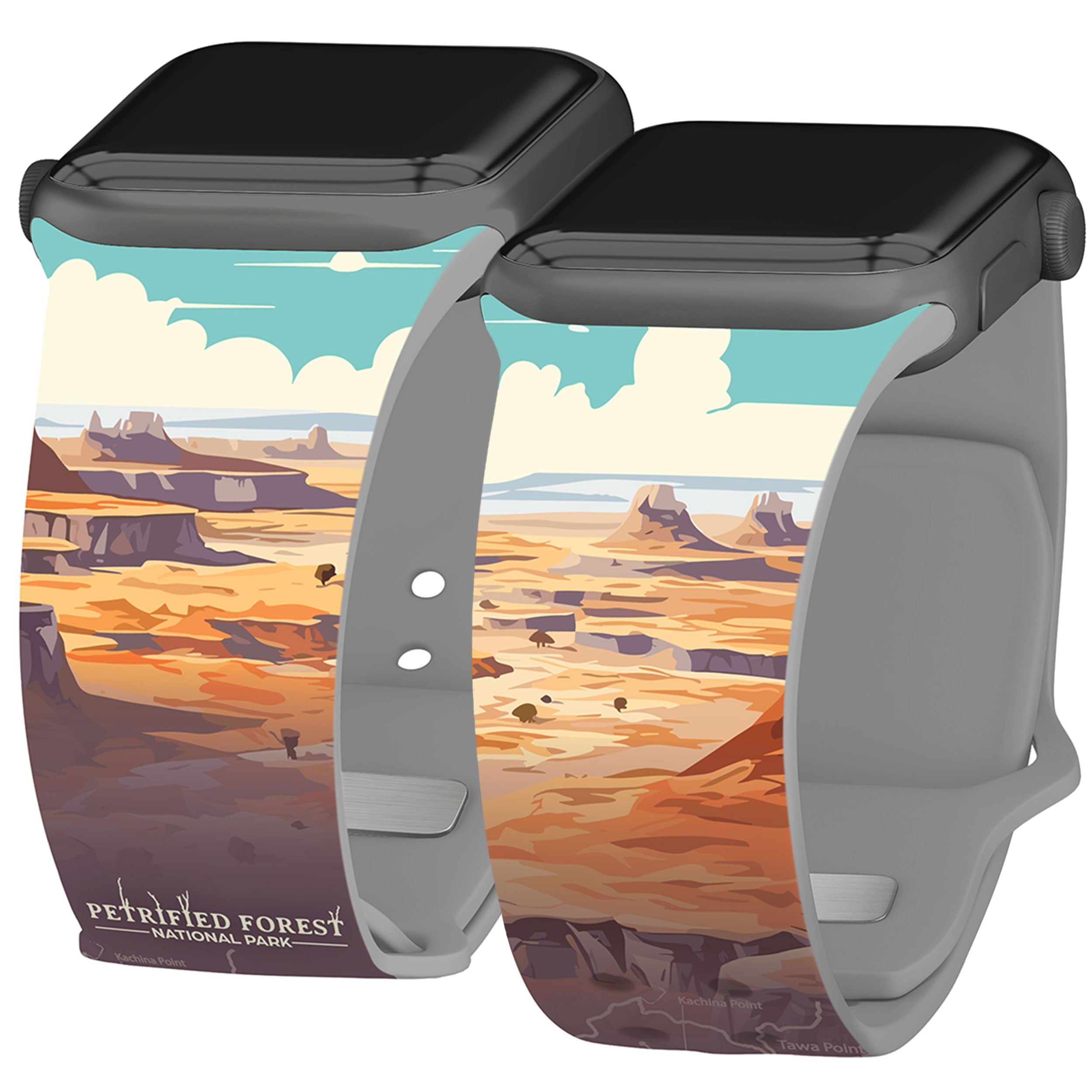 National Parks Petrified Forest HD Fitbit Versa 3 &amp;amp; Sense 1 Watch Band