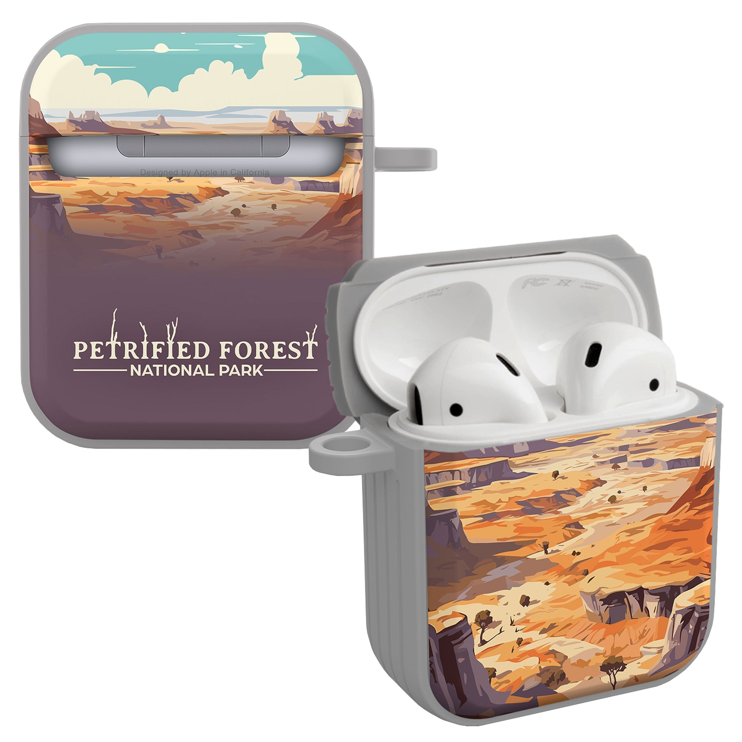 National Parks Petrified Forest HDX Apple Airpods Gen 1 &amp;amp; 2 Case Cover
