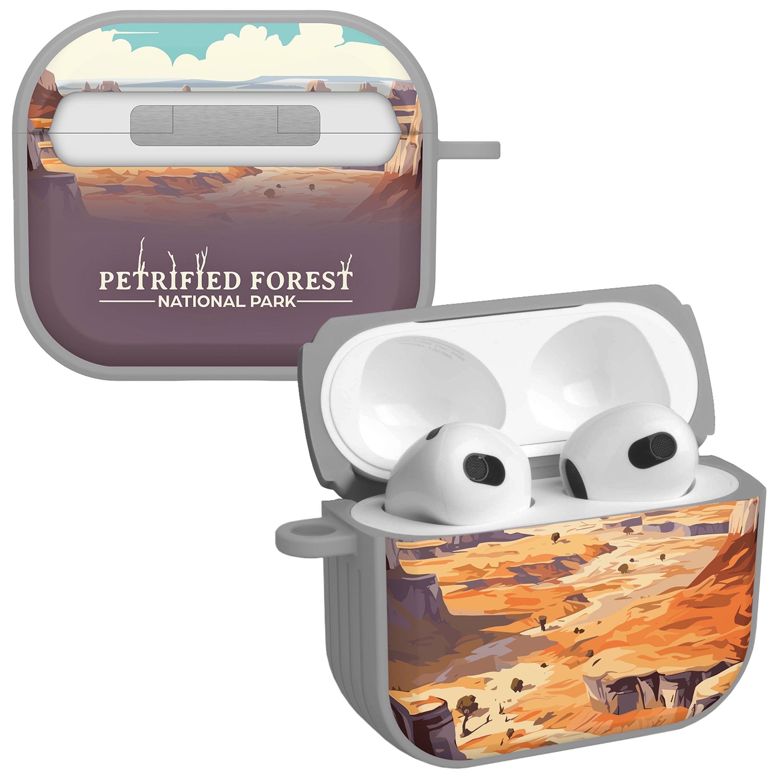 National Parks Petrified Forest HDX Apple Airpods Gen 3 Case Cover