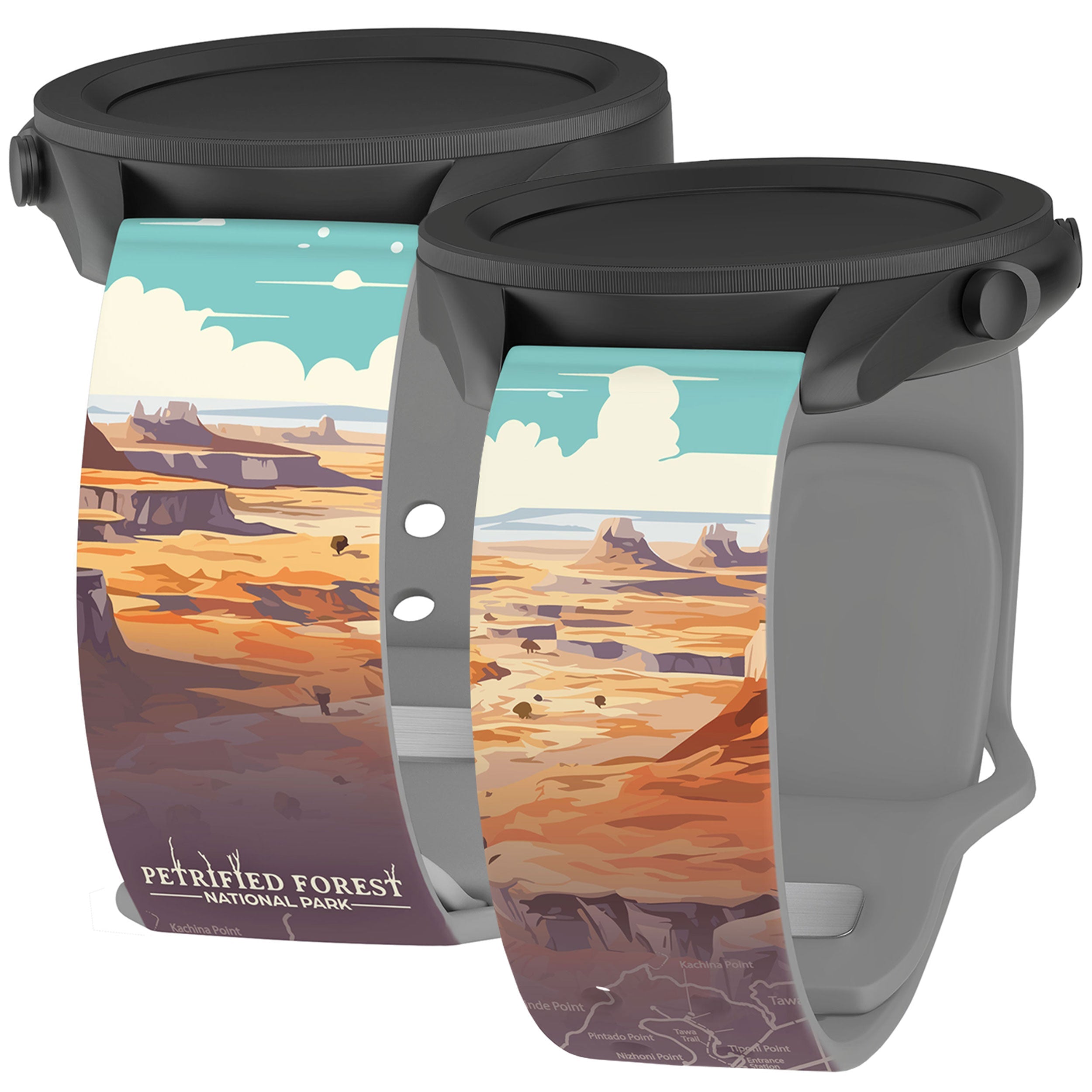 National Parks Petrified Forest HD  Watchband for Samsung, Garmin, Fossil, and More