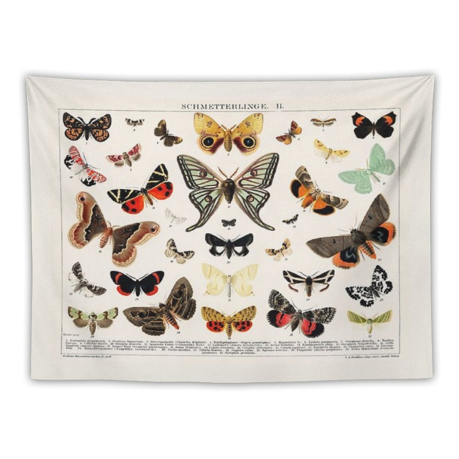 1894 Antique Butterfly Classification Illustration Tapestry