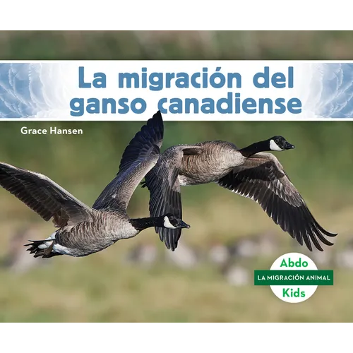 La Migración del Ganso Canadiense (Canada Goose Migration) - Library Binding