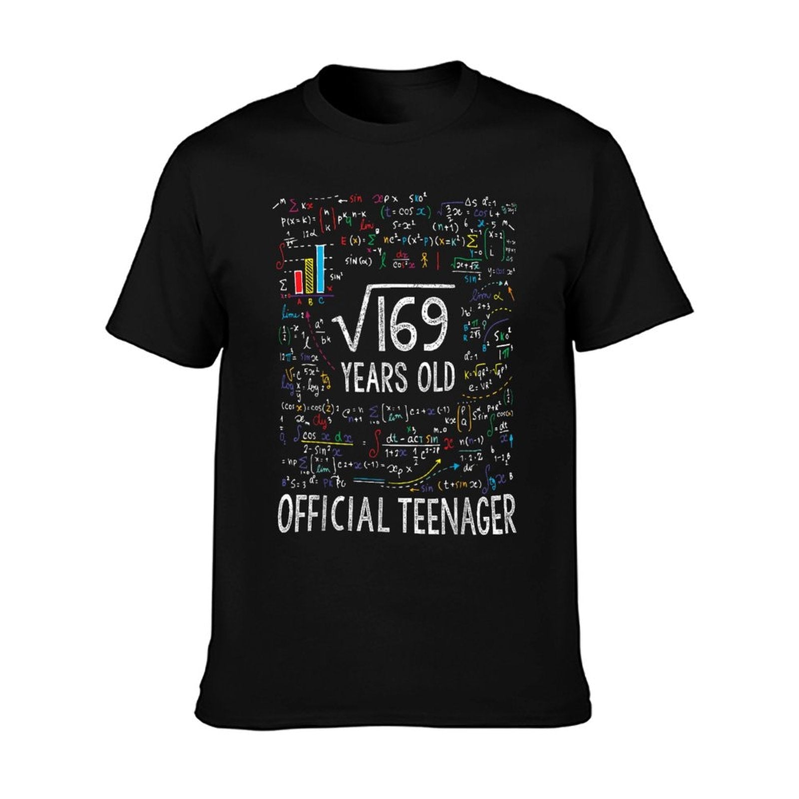 Square Root Of 169 13 Years Old Officialnager Birthday T-Shirt