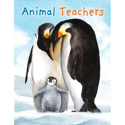 Animal Teachers - Paperback