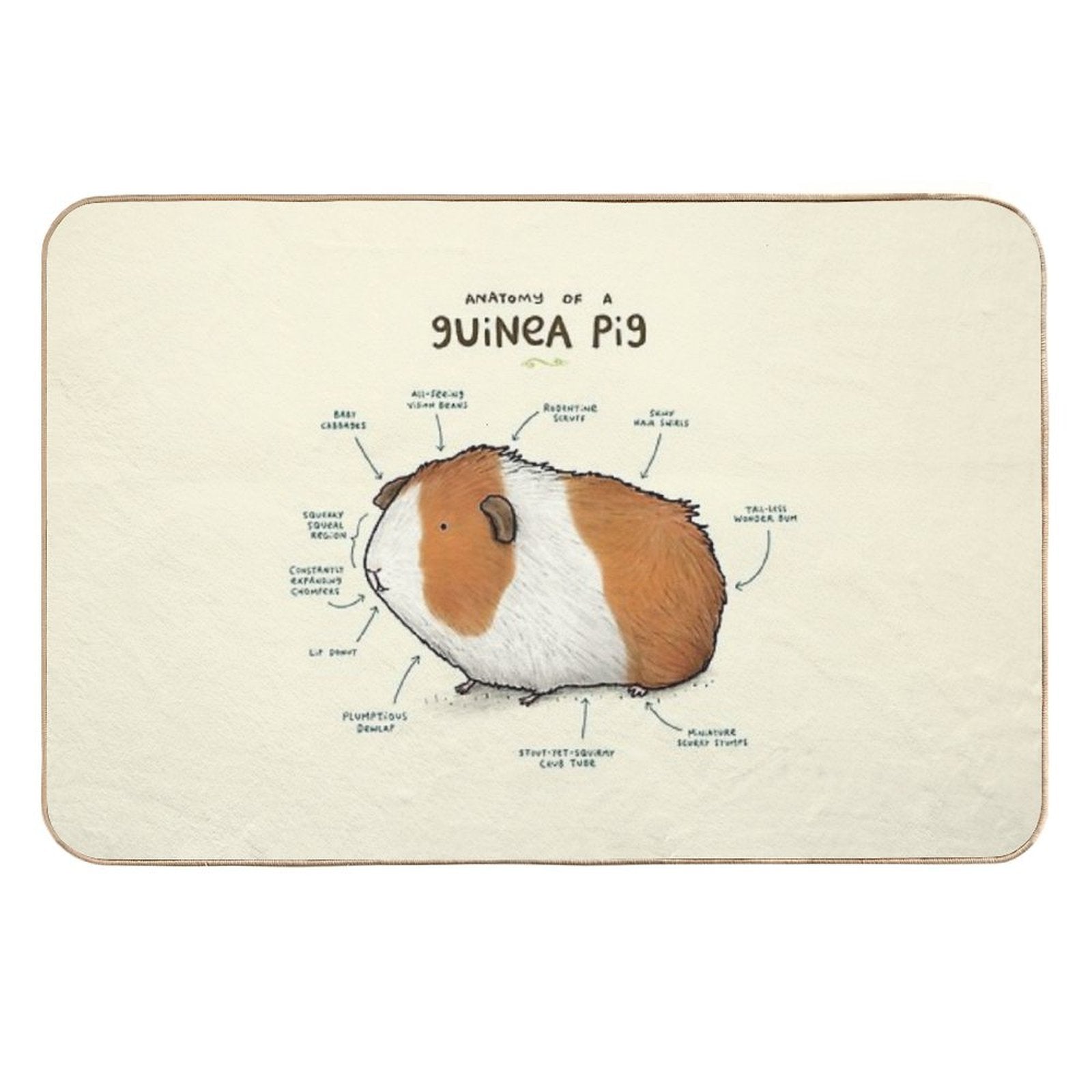 Anatomy of A Guinea Pig  High-Traffic Bath Mat