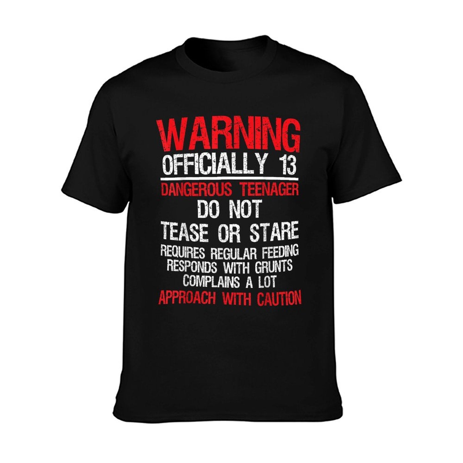 13 Years Old Warning Dangerousnager 13th Birthday T-Shirt