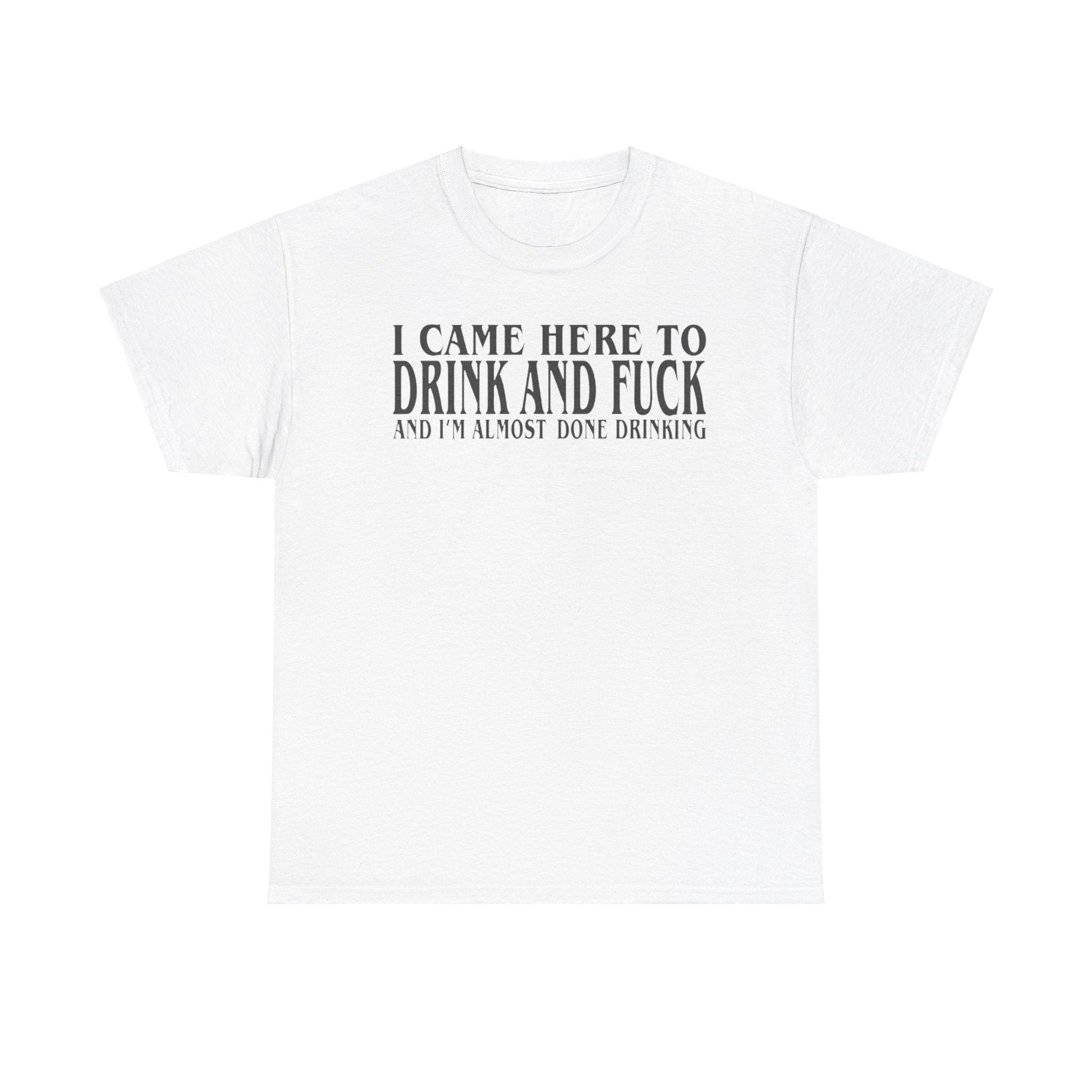 I Came Here To Drink And Fuck And Im Almost Done Drinking Shirt
