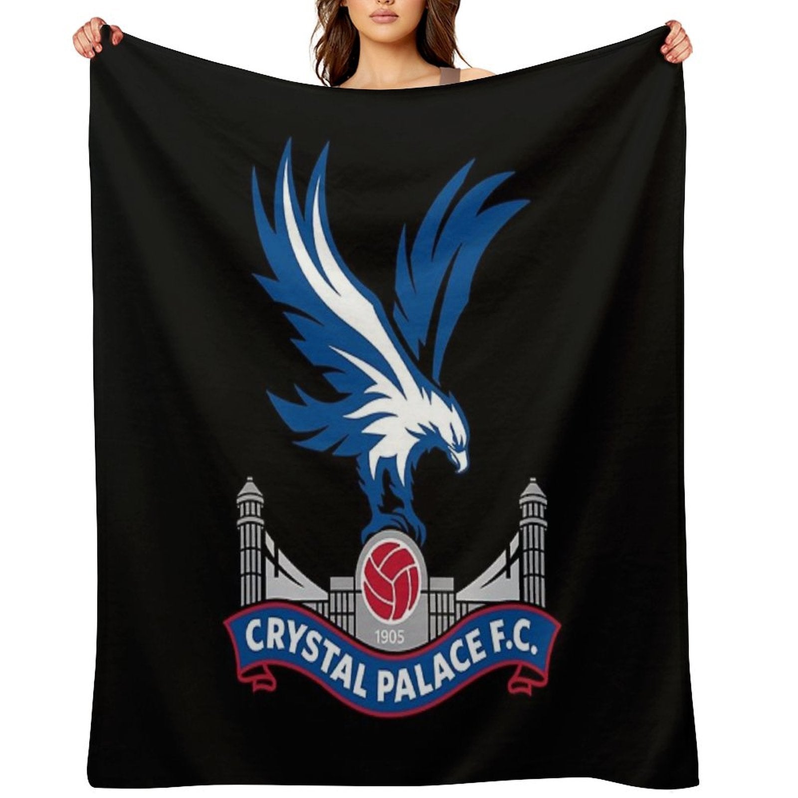 2013 Logo Throw Blanket