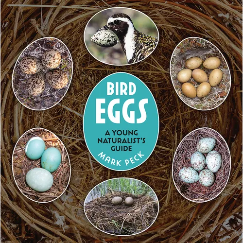 Bird Eggs: A Young Naturalist&amp;#39;s Guide - Paperback