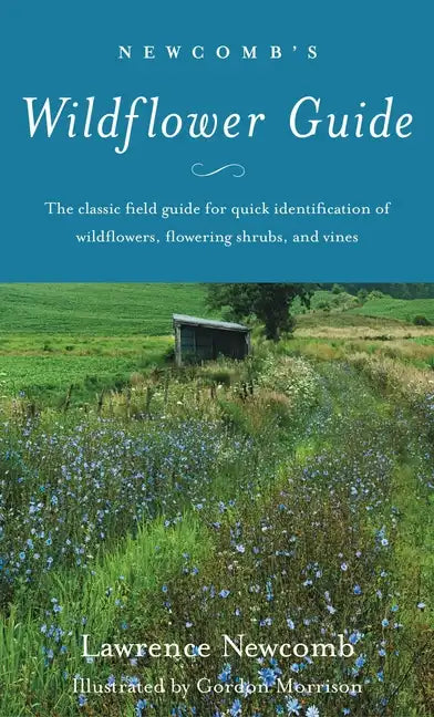 Newcomb&amp;#39;s Wildflower Guide - Paperback