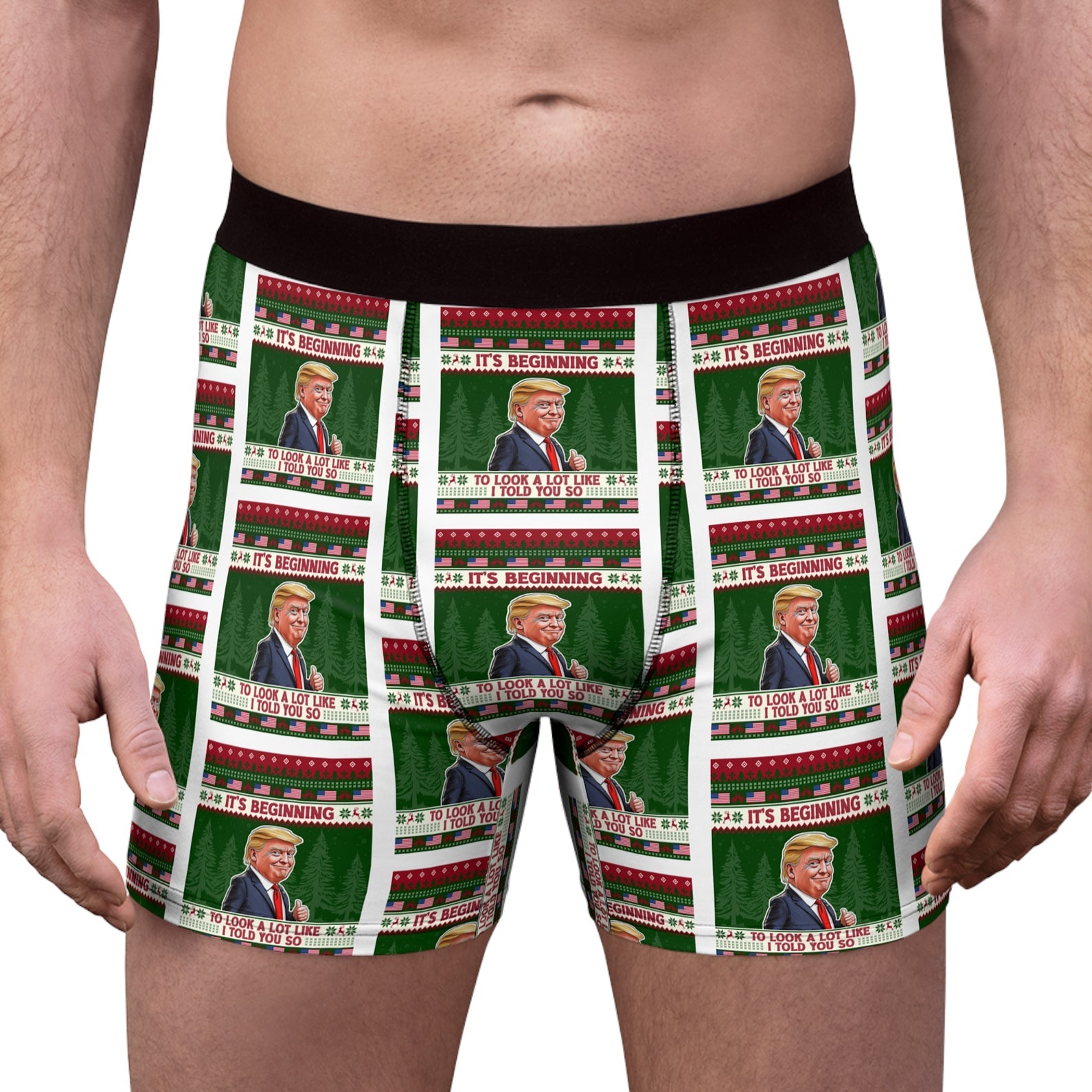 It&amp;#39;s Beginning To Look A Lot Like I Told You So Boxer Briefs, Trump Christmas Gift, Trump Boxer Briefs 681740 - GOP