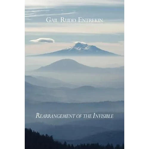 Rearrangement of the Invisible - Paperback