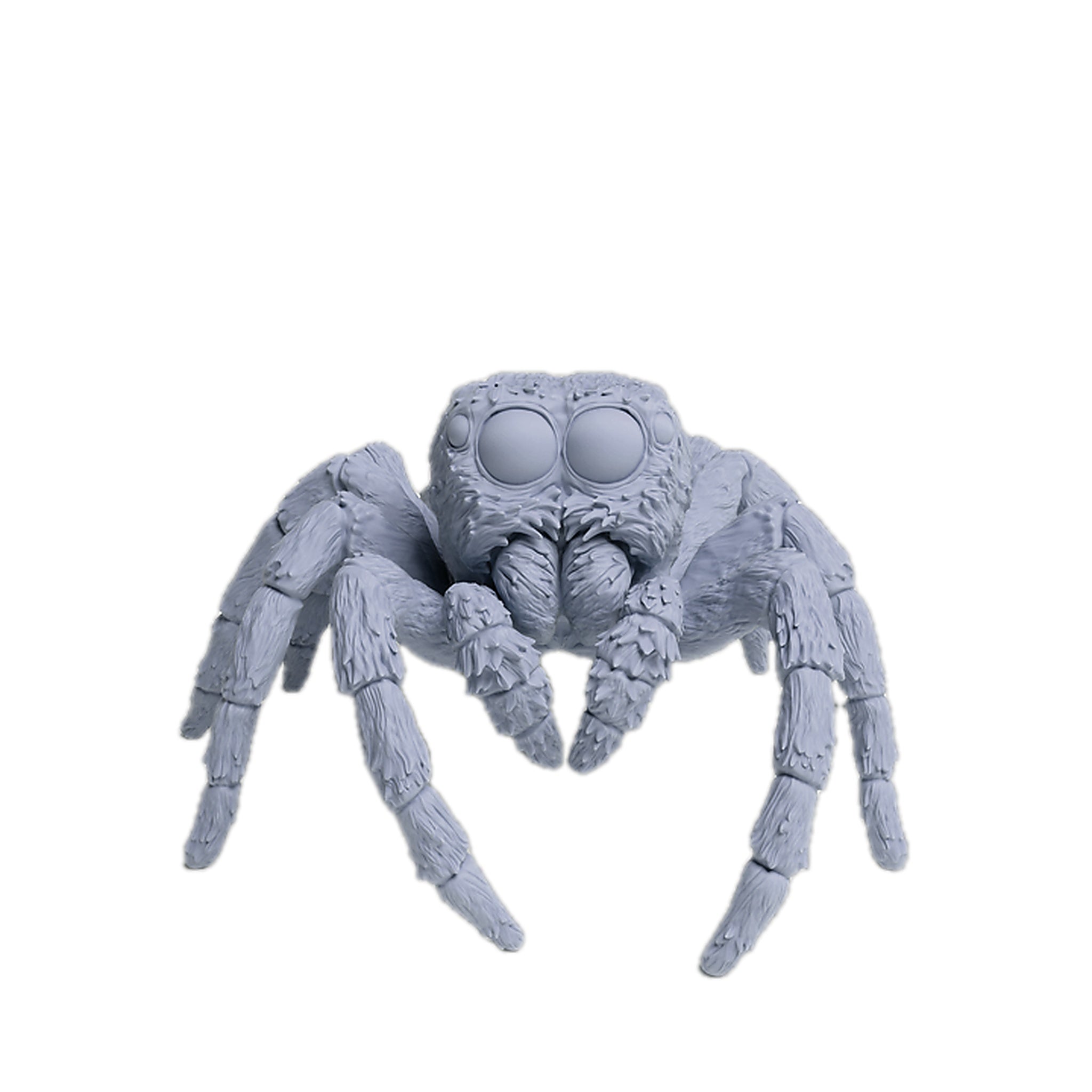 Jumping Spider (Carrhotus xanthogramma) | Animal Den Miniatures