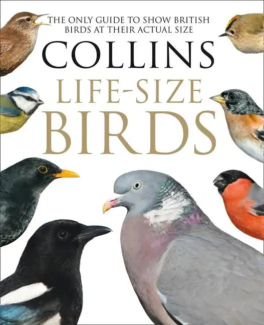 Collins Life-Size Birds: The Only Guide to Show British Birds at Their Actual Size - Hardcover