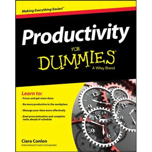 Productivity for Dummies - Paperback