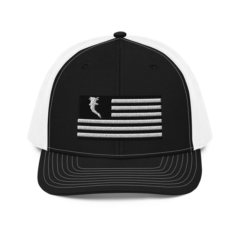 Flag Embroidered BnW (Snapback)