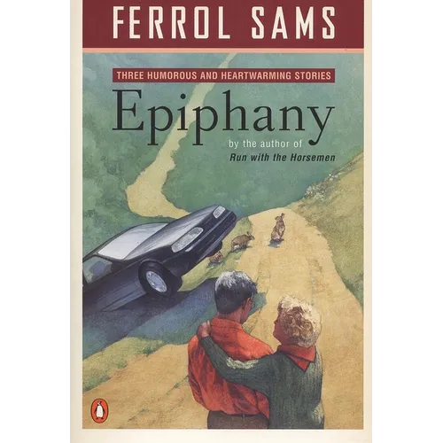 Epiphany: Stories - Paperback