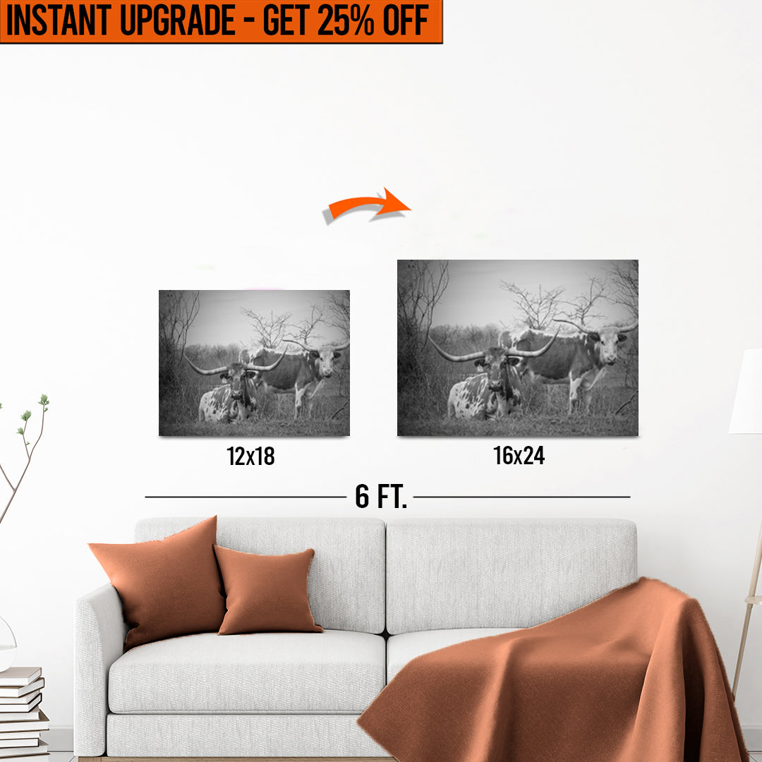 Upgrade Your 12x18 Inches &amp;#39;Monochrome Texas Longhorn Cattle&amp;#39; Canvas to 16x24 Inches