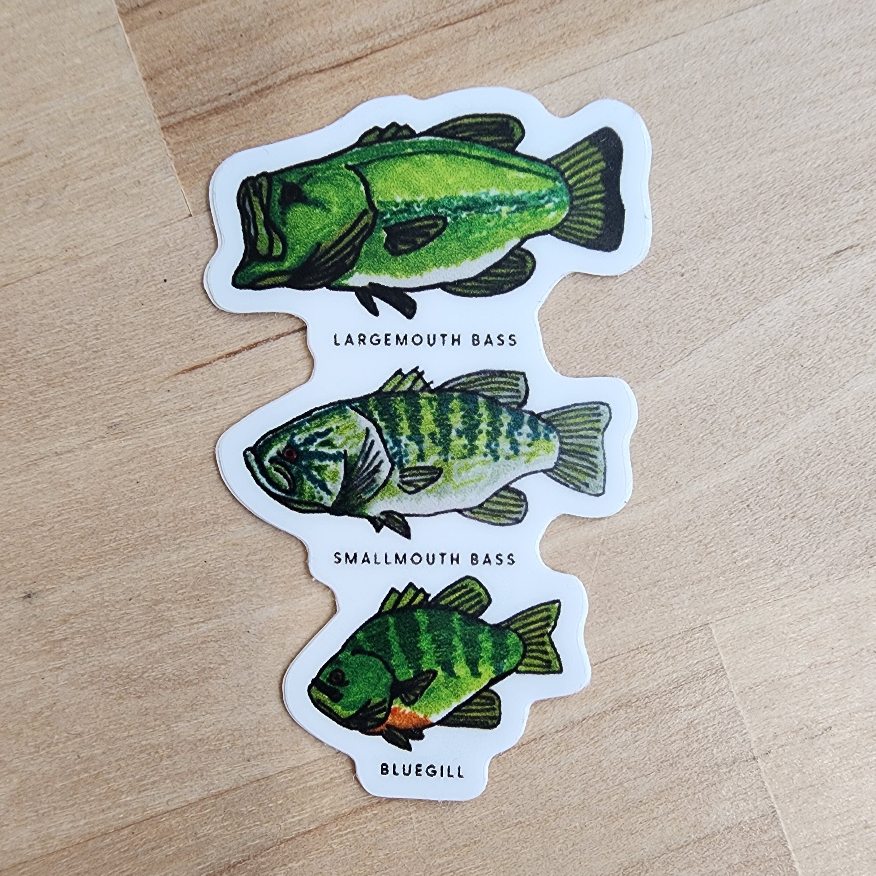 LMSS® STICKER - Bass &amp;amp; Bluegill Chart (Hand Drawn)