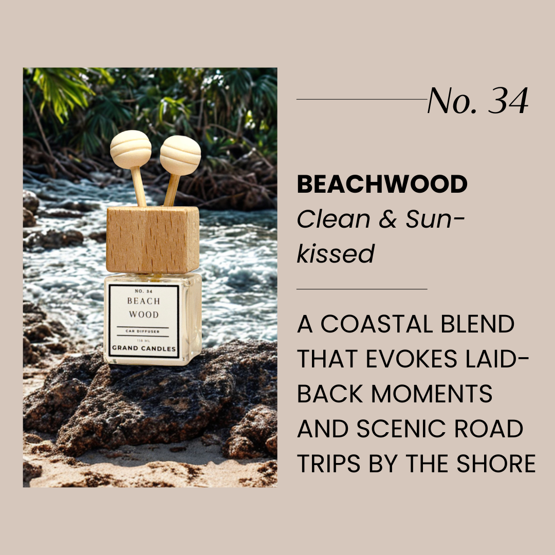 Beachwood Car Diffuser