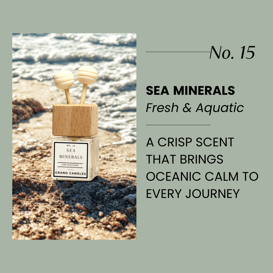 Sea Minerals Car Diffuser