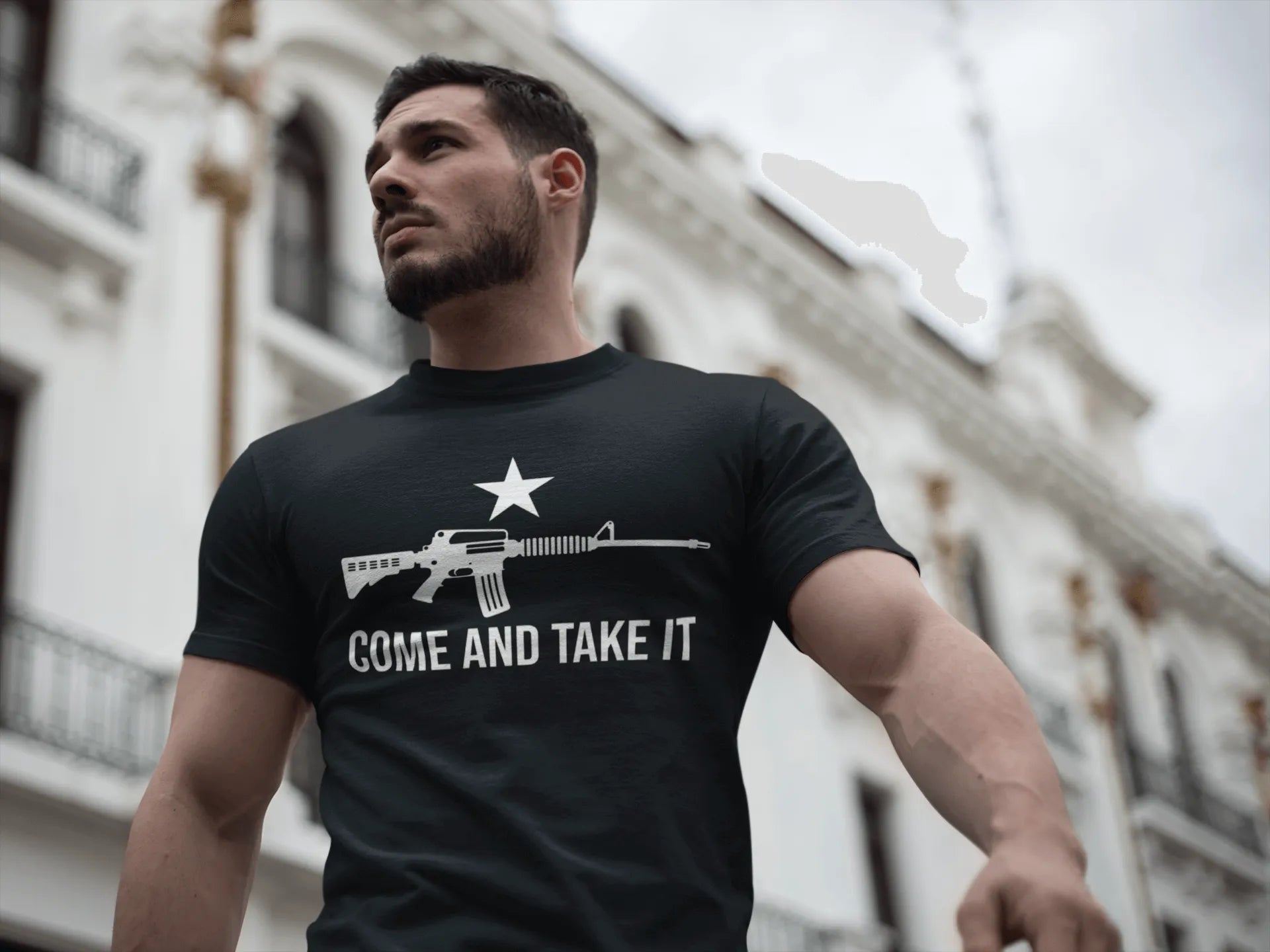 Come and Take It AR15 Chad T-Shirt