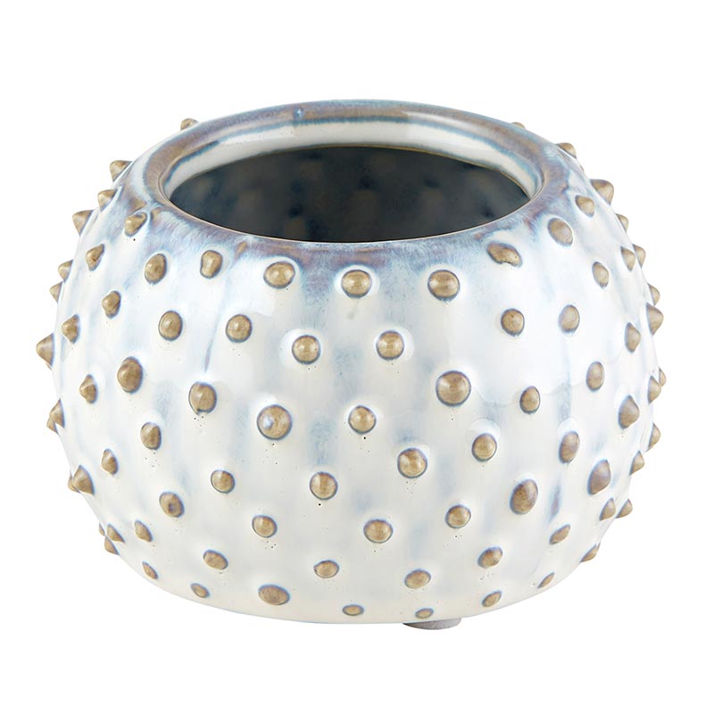 Cream Dot Pot Planter | Round Indoor Planter for Succulents Small Plants