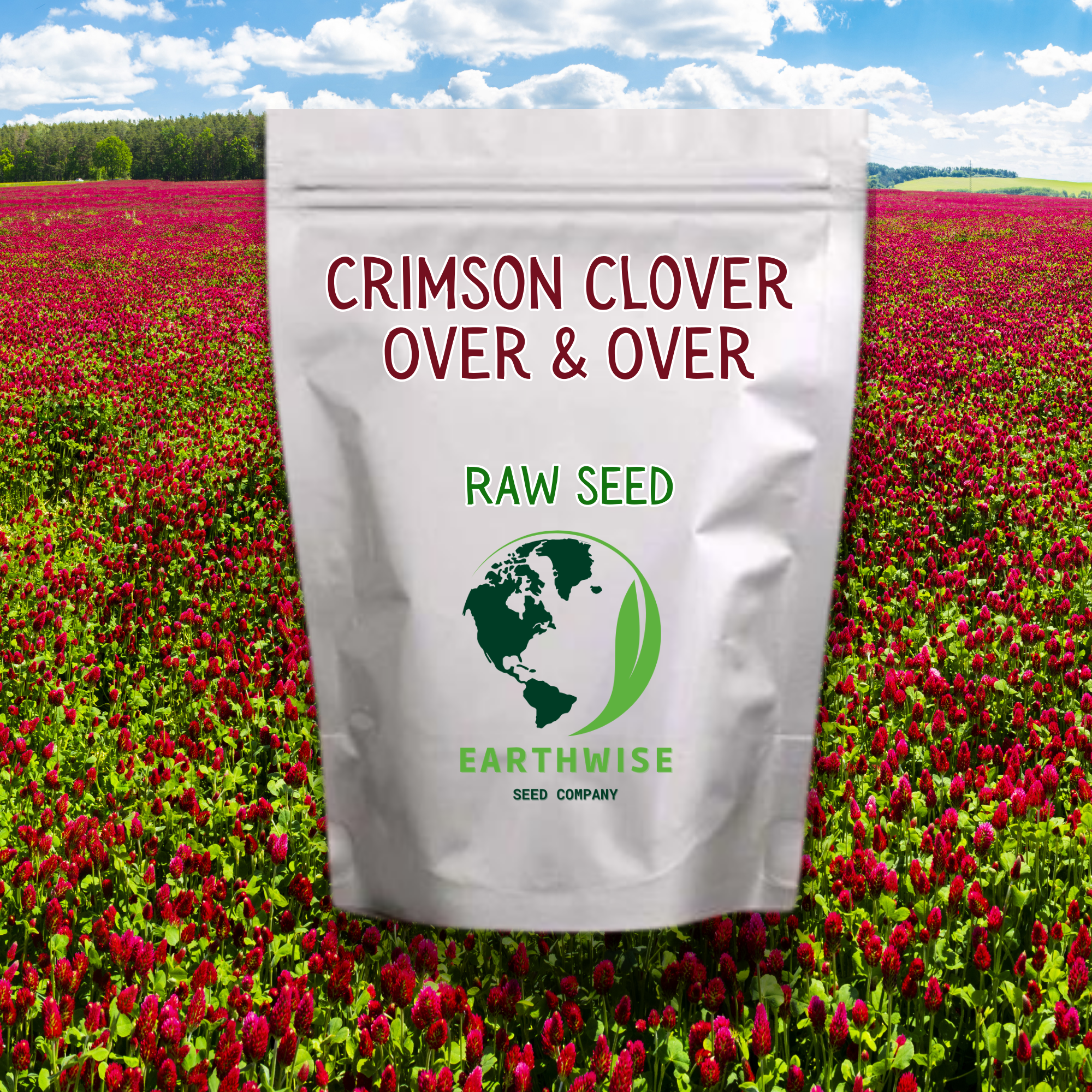 Crimson Clover, Over &amp;amp; Over (Trifolium Incarnatum) Seed