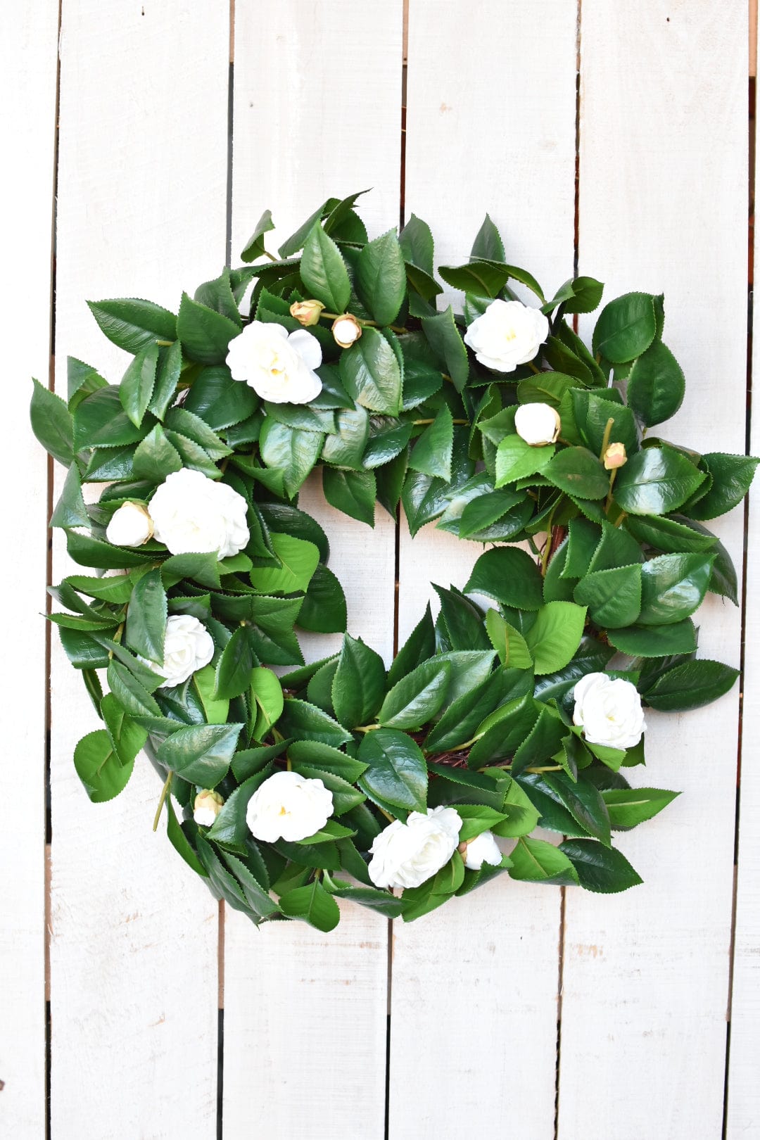 26&amp;quot; Faux White Camellia with Foliage Wreath