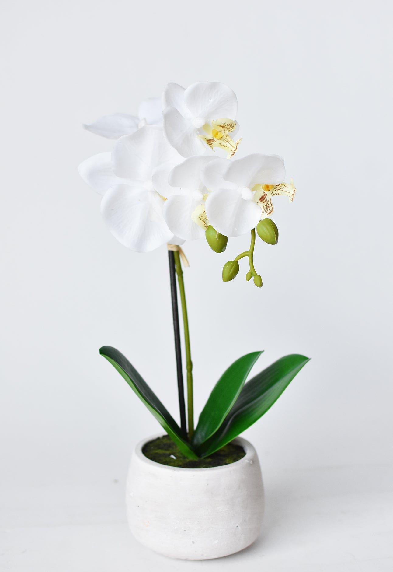 14&amp;quot; Faux Potted Orchid White