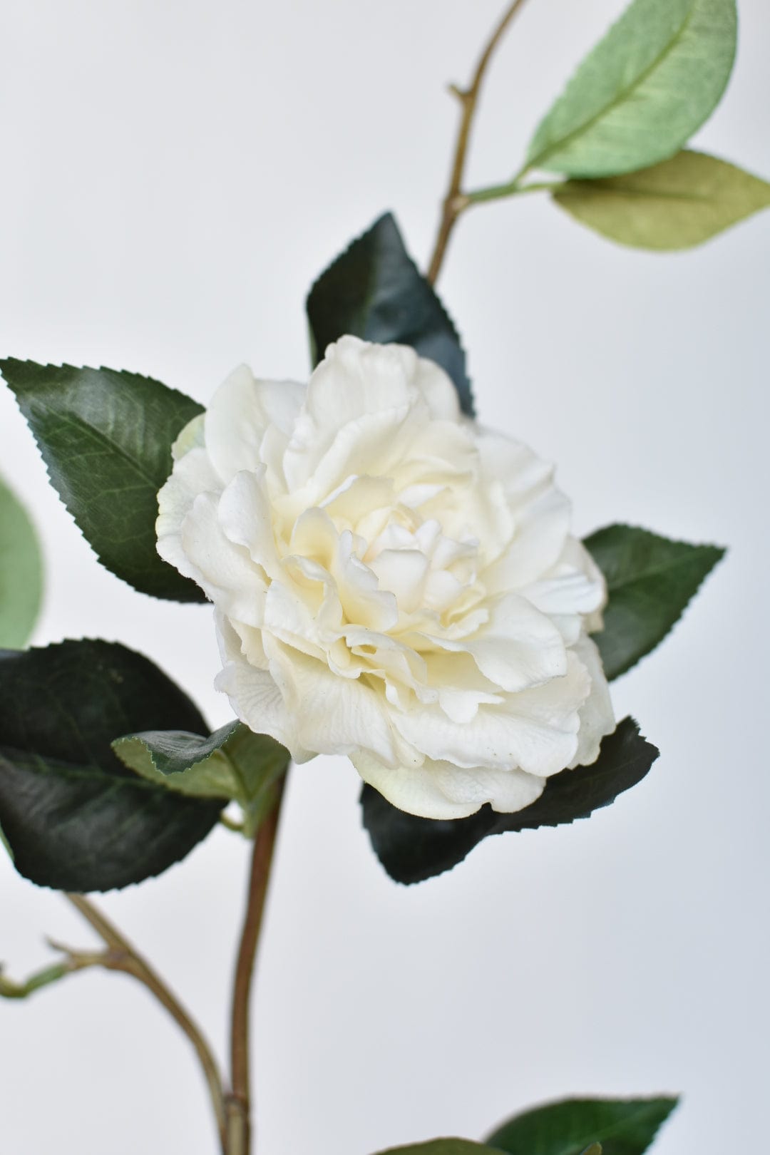 35&amp;quot; Faux Camellia Bloom Branch Stem Real Touch- Cream