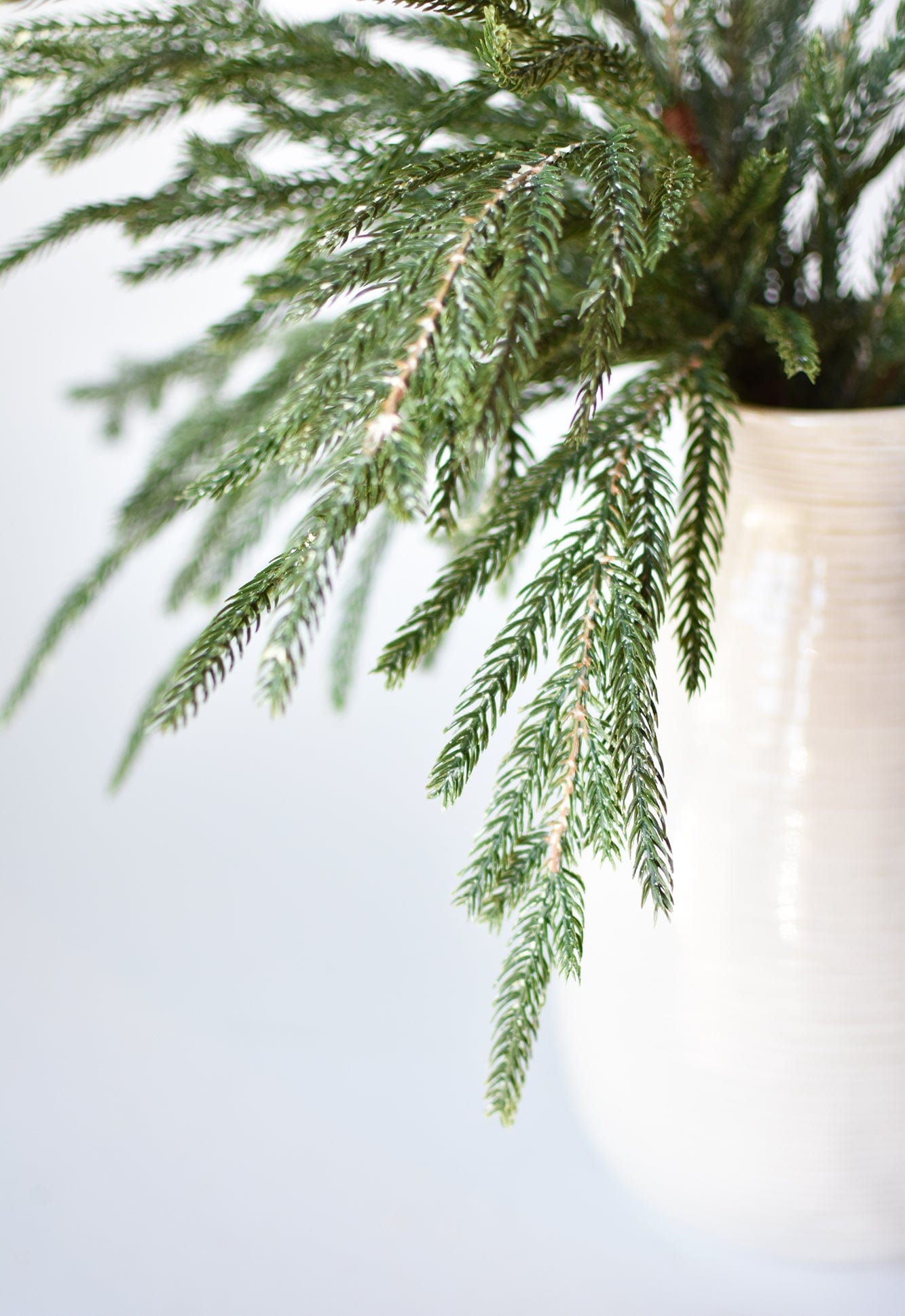 20&amp;quot; Faux Whitewash Green Norfolk Pine Spray Bush
