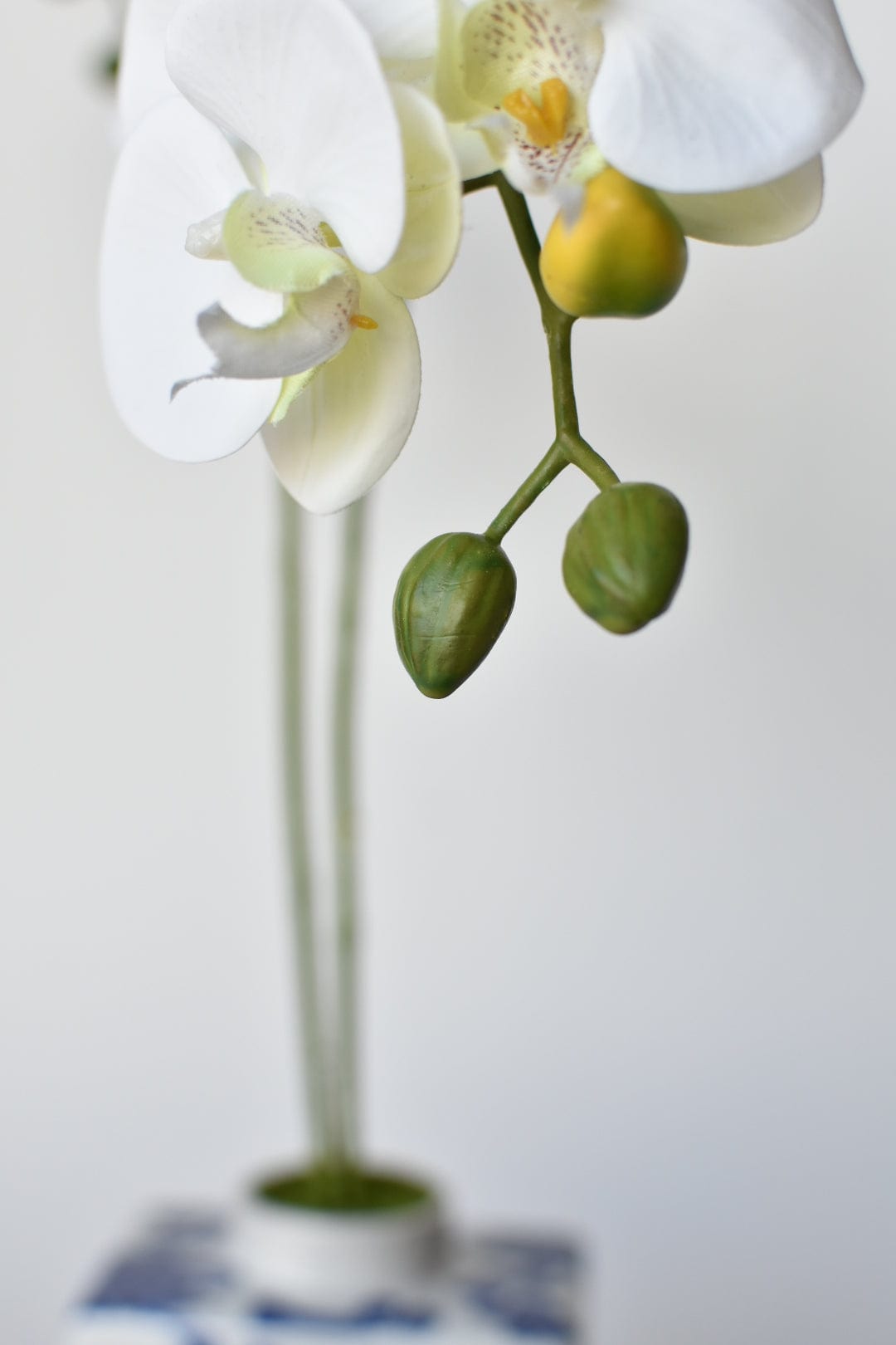 20&amp;quot; Faux Phalaenopsis Orchid in Blue/White Container - 2OR