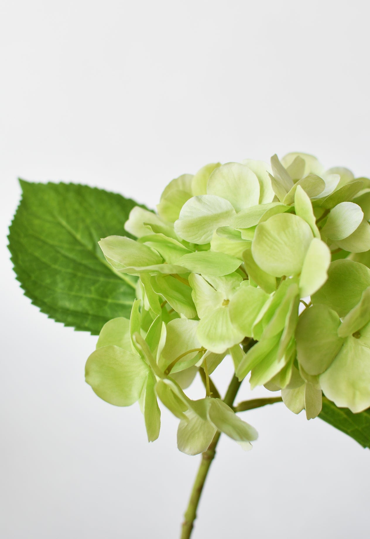 10&amp;quot; Faux Green Hydrangea Stem