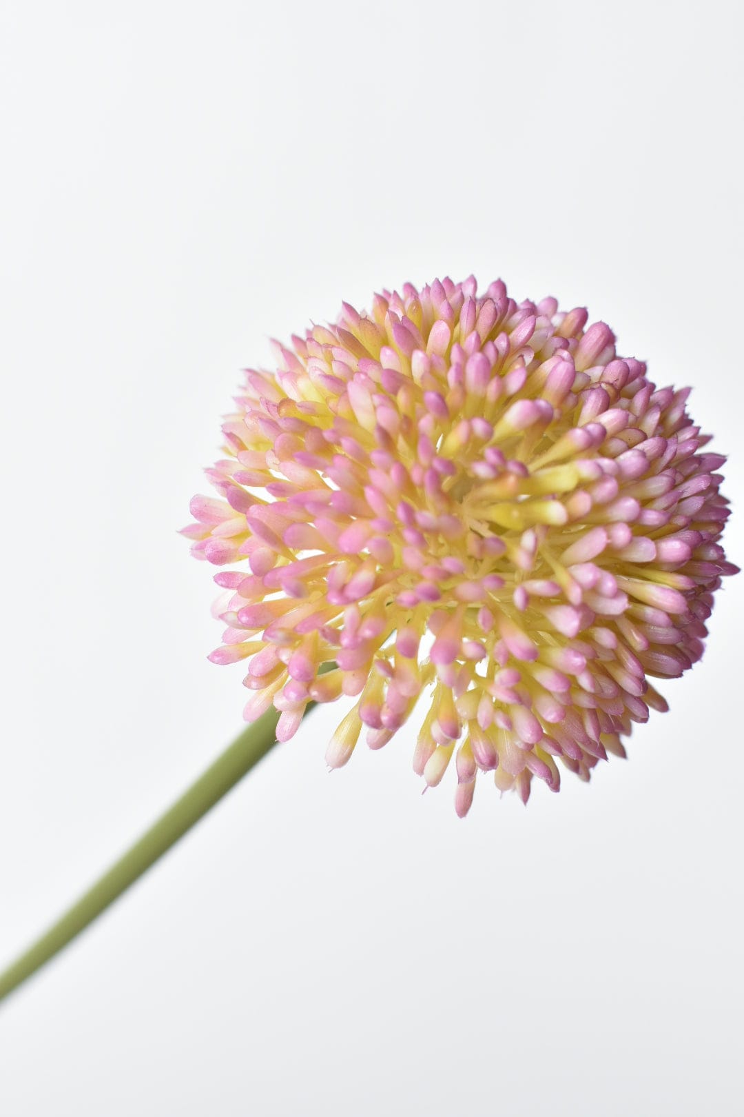 17.5&amp;quot; Faux Lavender Allium Stem