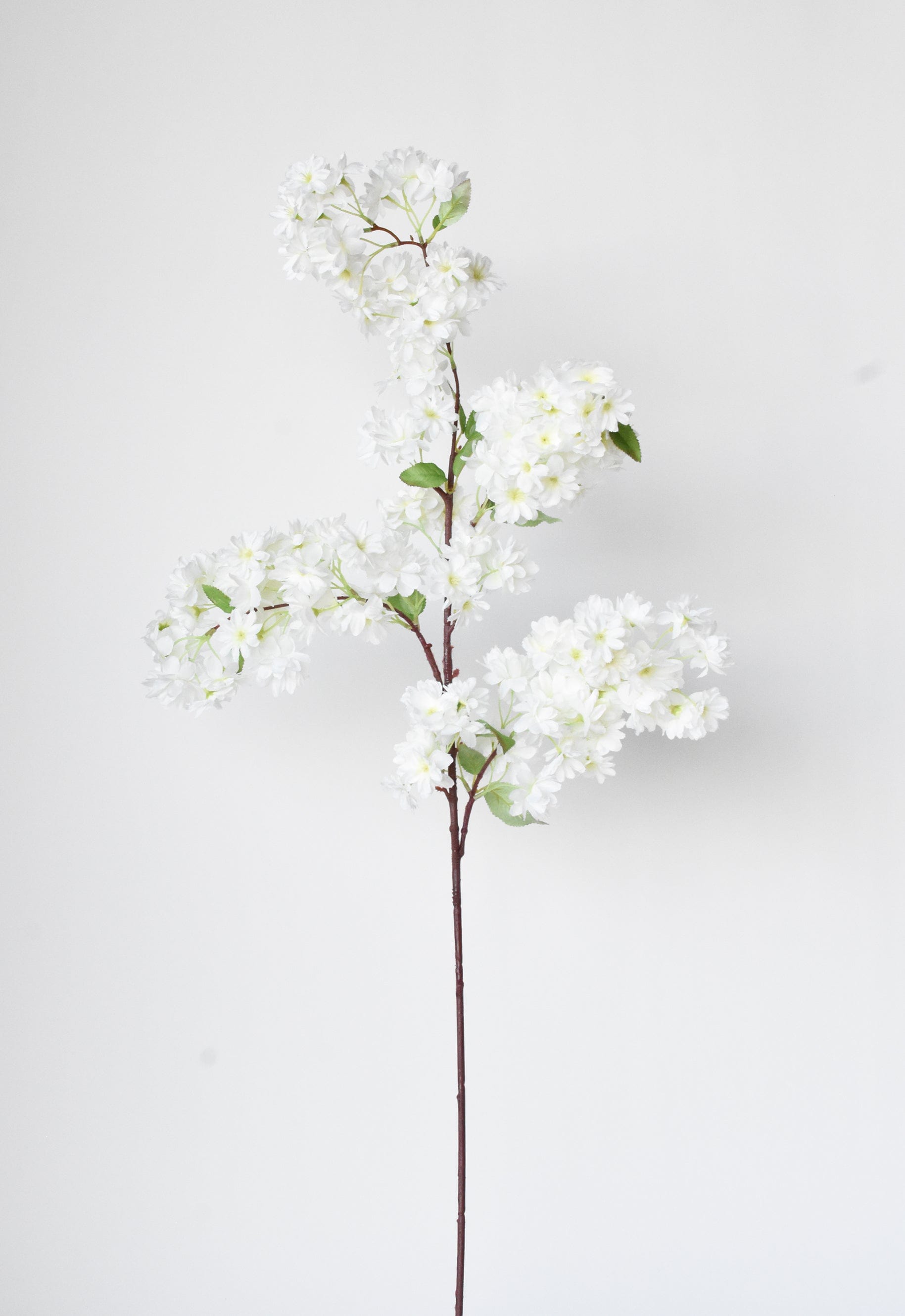 40&amp;quot; Faux Cherry Blossom Branch Stem Cream
