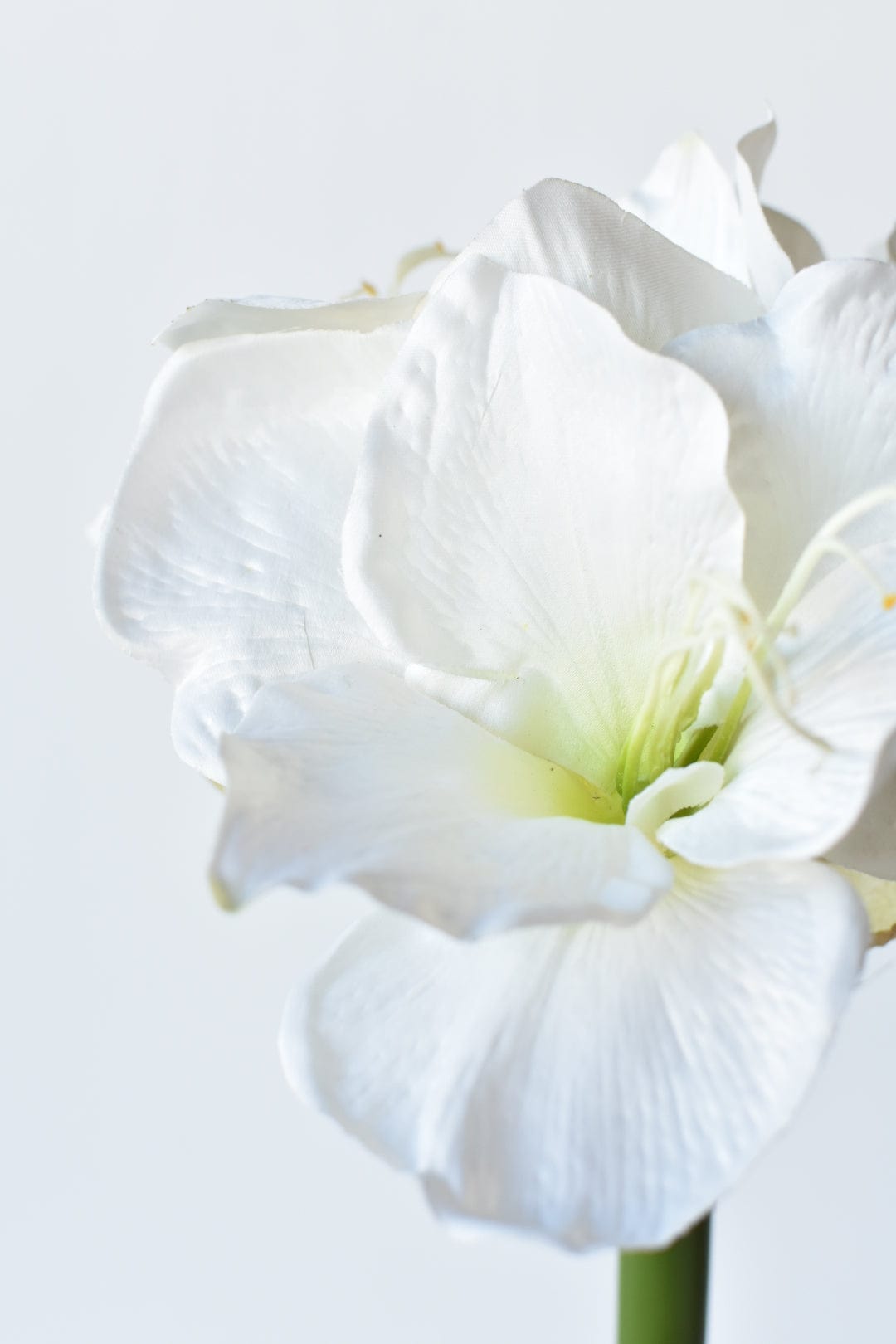 29&amp;quot; Faux White Amaryllis Stem