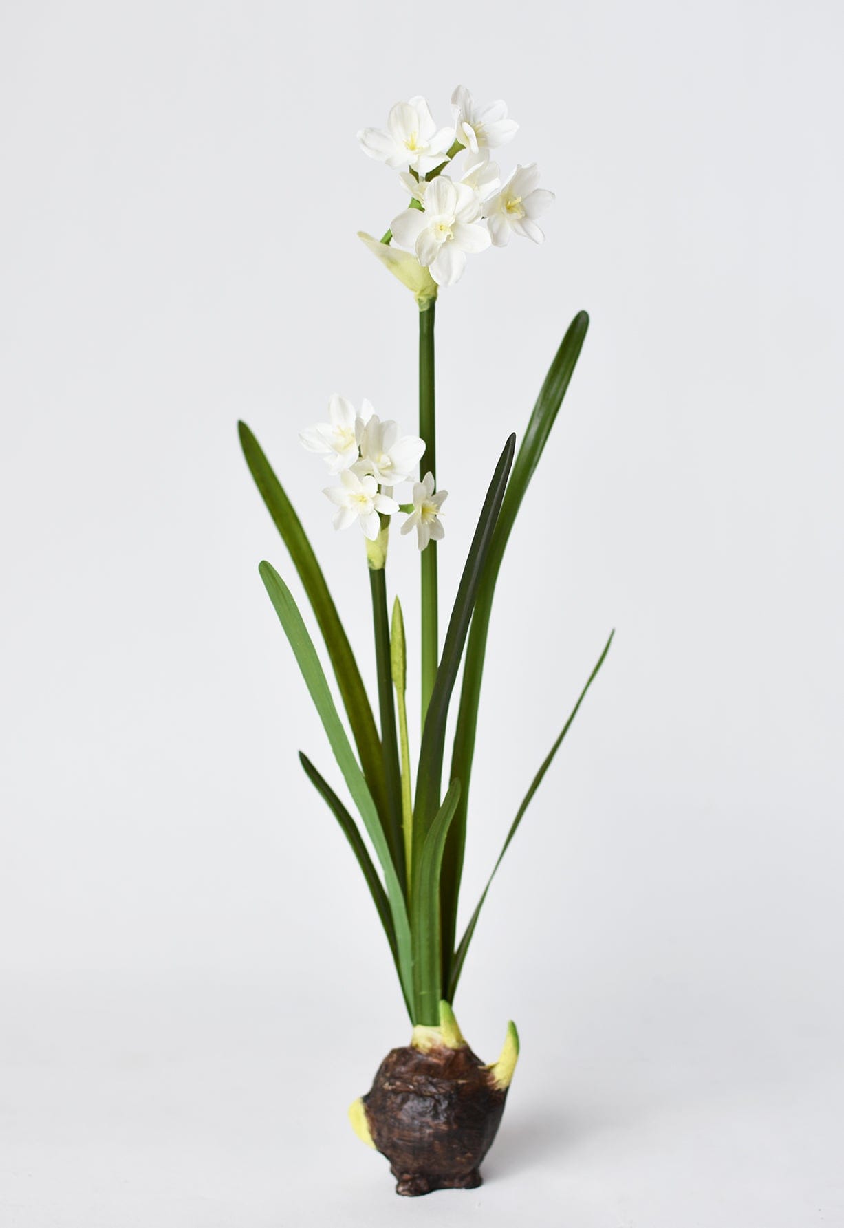 17.5&amp;quot; Faux Paperwhites w/ Bulb