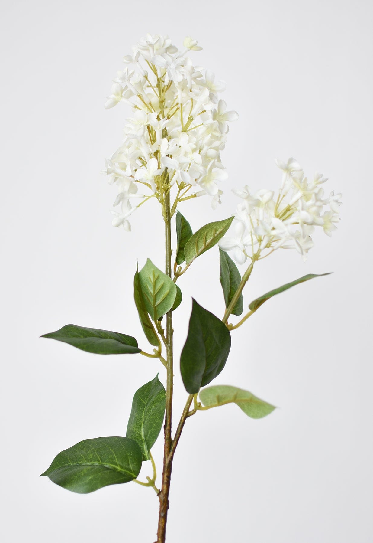 28.5&amp;quot; Faux White English Lilac Stem