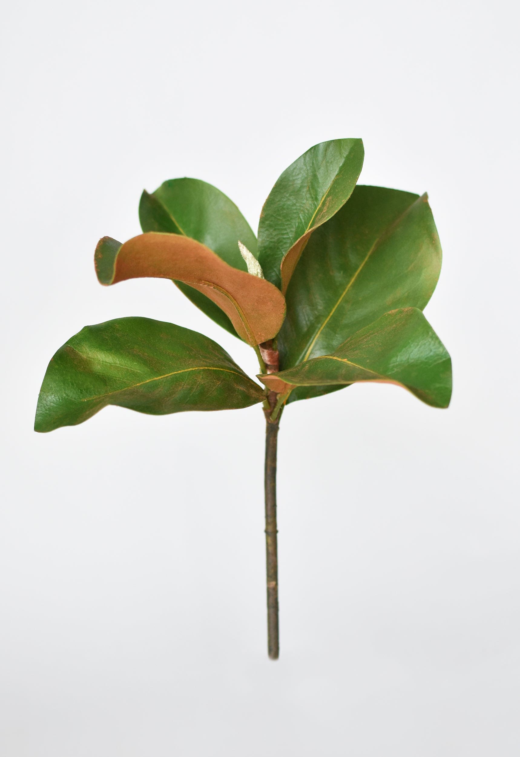 14&amp;quot; Faux Magnolia Leaf Stem