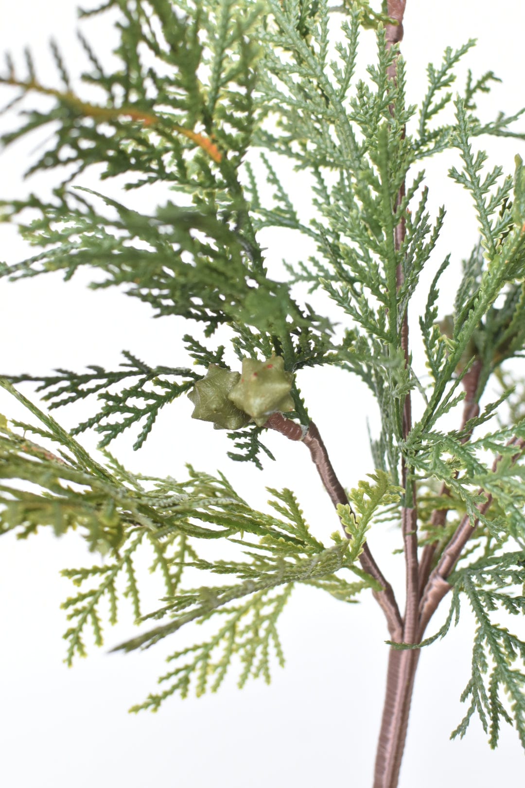16&amp;quot; Faux Cedar with Pod Stem